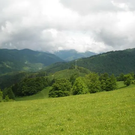 Drevenica Denisa 펜션